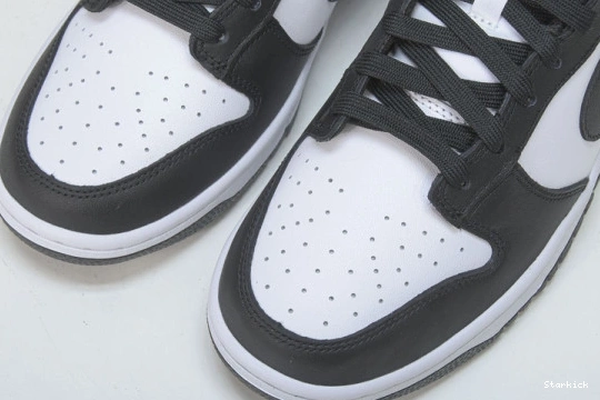 Retro (2021)   DD1503-101 Nike Low Dunk Panda White Black 0308